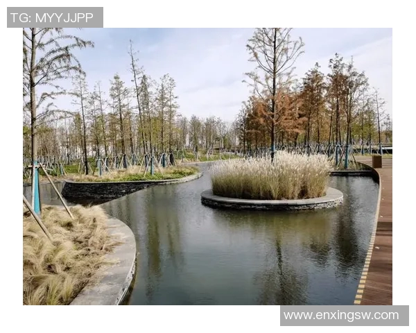 探索夏洛特山猫的栖息地与生态习性揭示自然界的神秘与美丽